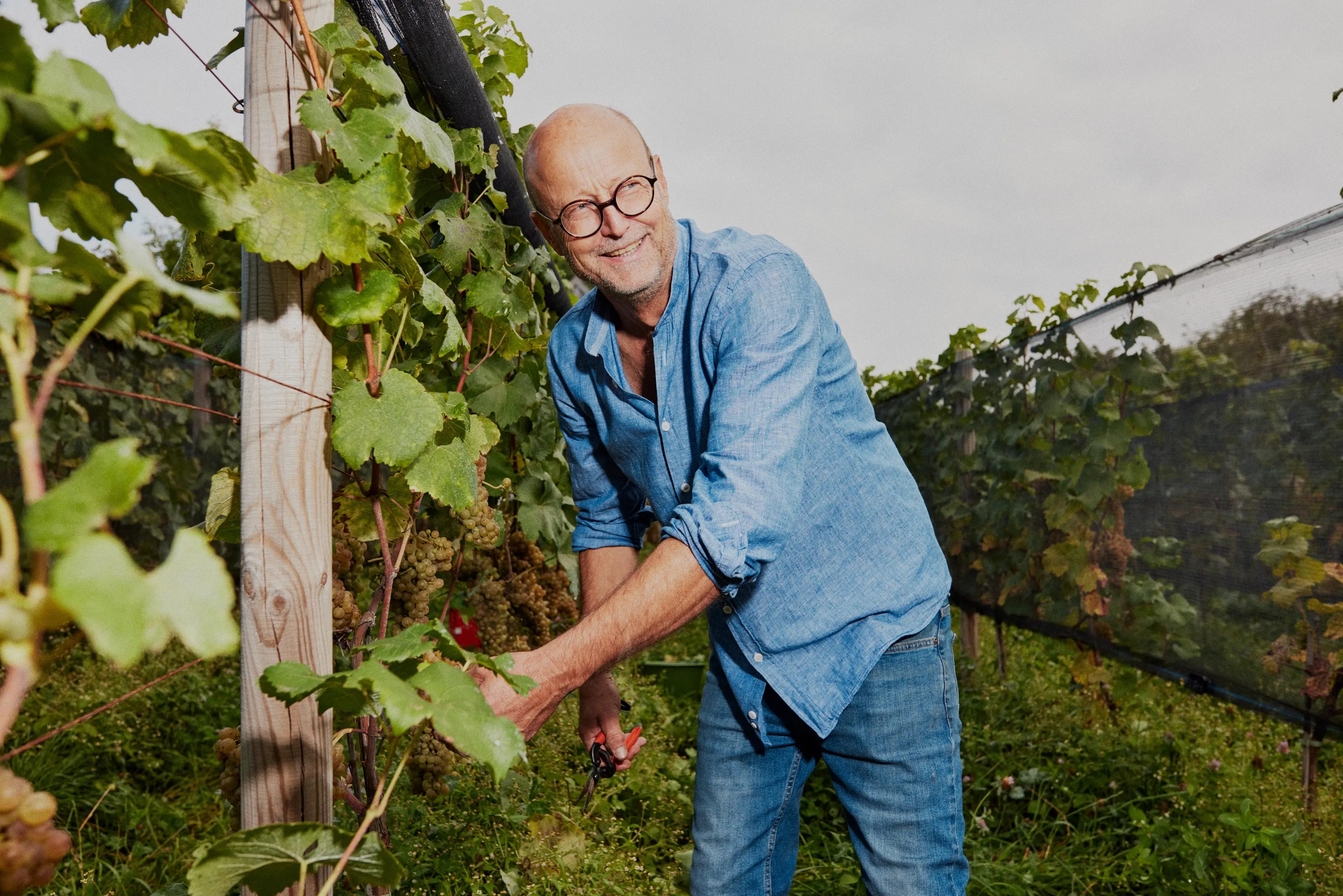 Wein Usedom – Galerie Bild 6 | Weingut Kühn & Hell, Welzin, Gemischter Satz