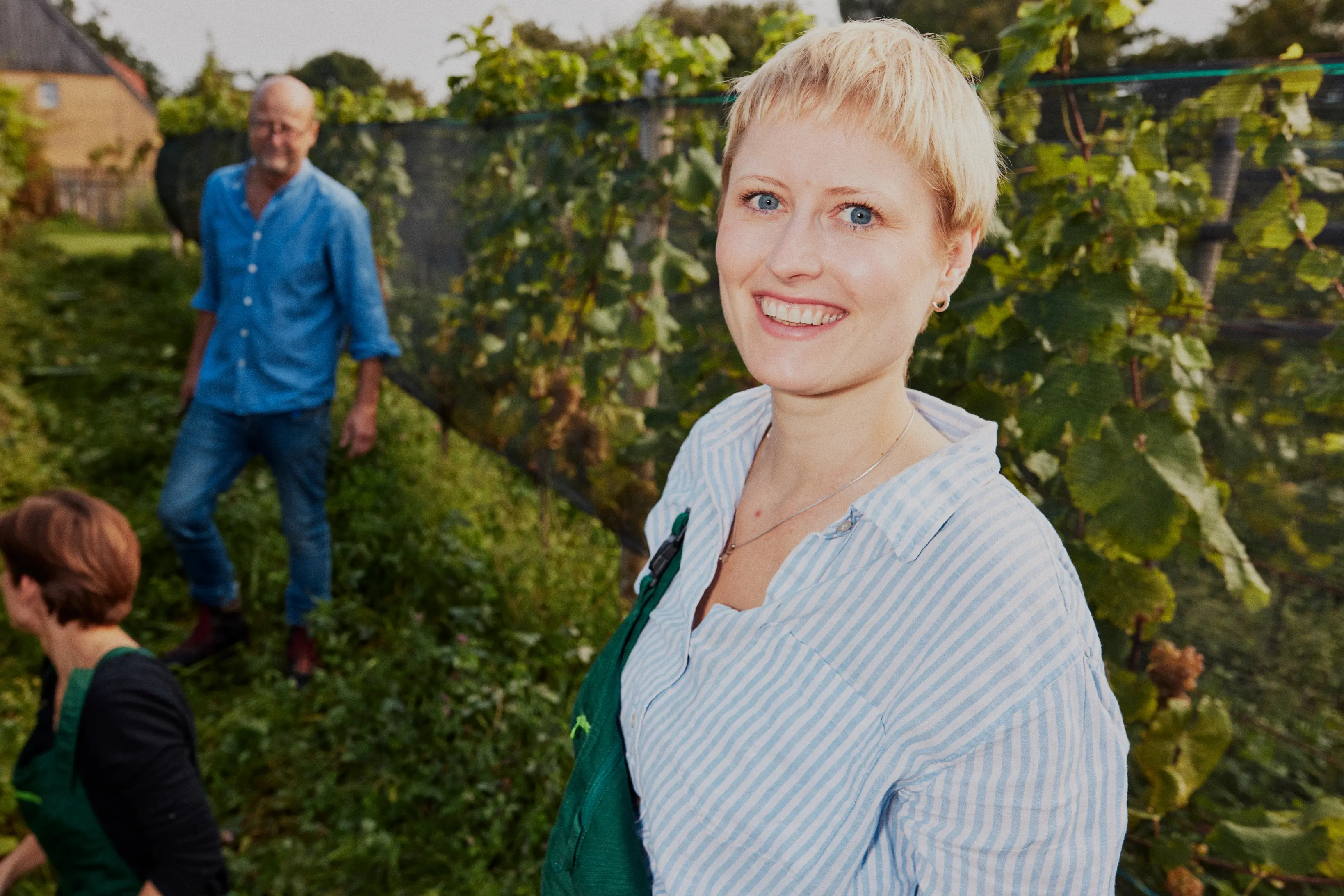 Wein Usedom – Galerie Bild 4 | Weingut Kühn & Hell, Welzin, Gemischter Satz
